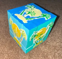 Survivor Puzzle Cube 3