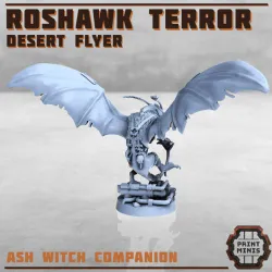 The Ash Witch & Roshawk Flyer - Erroish Tribe