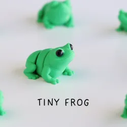 Tiny Frog