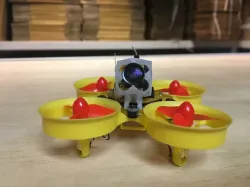 Tiny Whoop BeeBrain V2 canopy