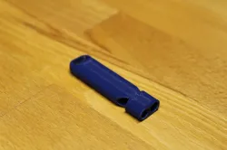 Whistle