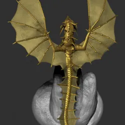 Young Gold Dragon