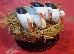 Čáp sedící na hnízdě / Stork sitting on the Nest