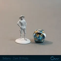 Bellamy Draven - Dark Elf Pirate