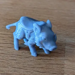 Boars