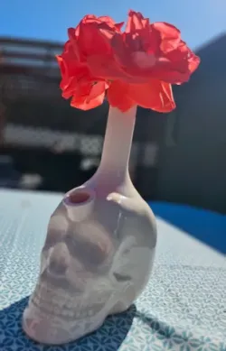 Bone Dome - Bong/Flower Vase