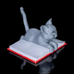 Cattus Librum