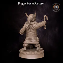 Dragonborn Sorcerer