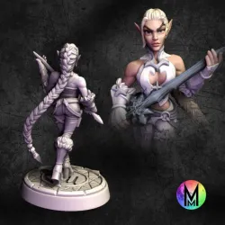 Elf Rogue / Warrior - Neve the High Elf Assassin ( Frost themed High Elf Rogue / Warrior )