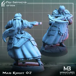 Maid Knight 02