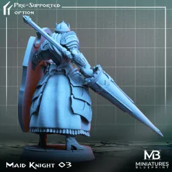 Maid Knight 03