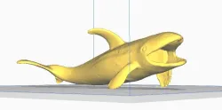 Orca Whale / Killer Whale / Whale