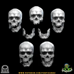 Realistic Human & Vampire Skulls! 4 versions!