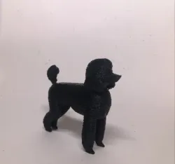 Realistic Poodle Model
