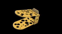 Shoe organiser