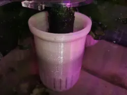 Sump Filter Cup