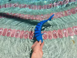 Articulating 3D Shark
