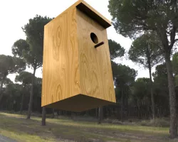 Birdhouse