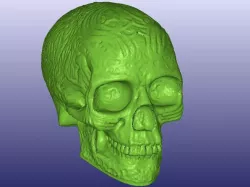 Celtic Skull 3D Scan (Hollow)