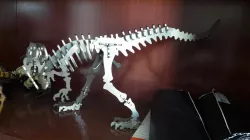 Dinossauro Quebra-Cabeça 3D