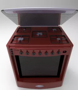 Gas stove