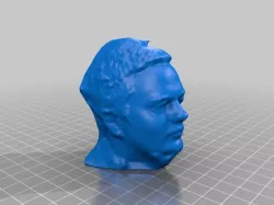 head