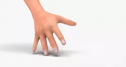 Human arm and nails