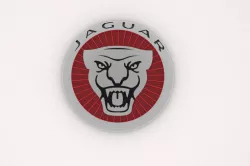 Jaguar LOGO