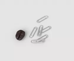 LION PAPER CLIP P-21