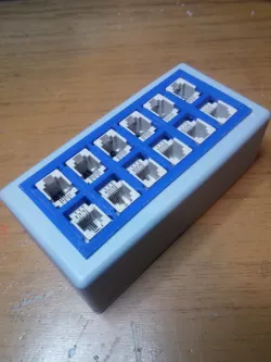 RJ11 frame for 12 pieces
