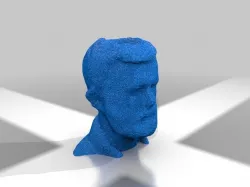 scanned head