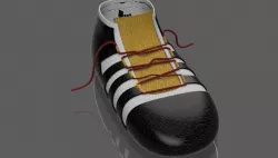 sneakers (shoe) model