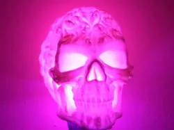 Spook Skull 3D Scan (Hollow)