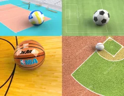 The balls (football, volleyball, basketball and baseball)
