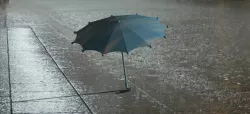 Umbrella