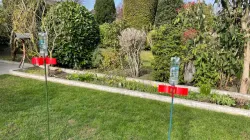 Ant repellent with PET, Ameisen Vertreiber mit PET