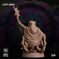 Cappy Druid