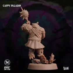 Cappy Paladin