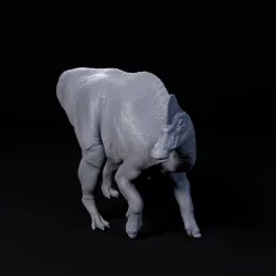 Corythosaurus walking 1-35 scale pre-supported dinosaur