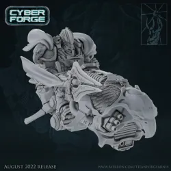 Cyber Forge B Team Allarus Custodian Hero on Jetbike