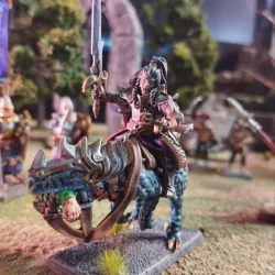 Dark Elf Commander
