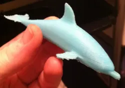 Dolphin