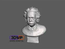 Einstein Sculpture (Bust 3D Scan)