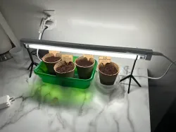 Grow Light Stand