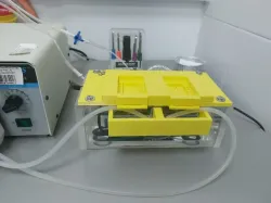 Interface chamber for brain slice electrophysiology