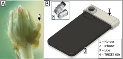iPhone Microscop Adapter for TRIXES Mini 60X