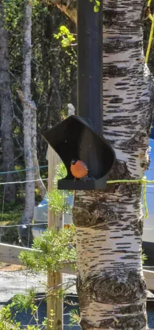 Large capacity bird feeder