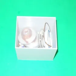 Parametric Open Box
