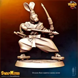 rabbit samurai archer classic