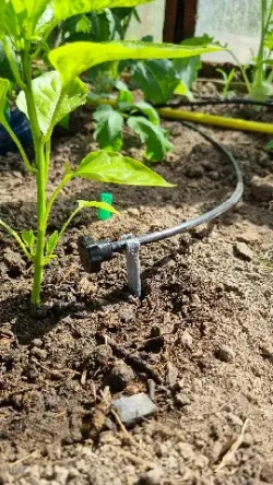 Adjustable dripping irrigation set